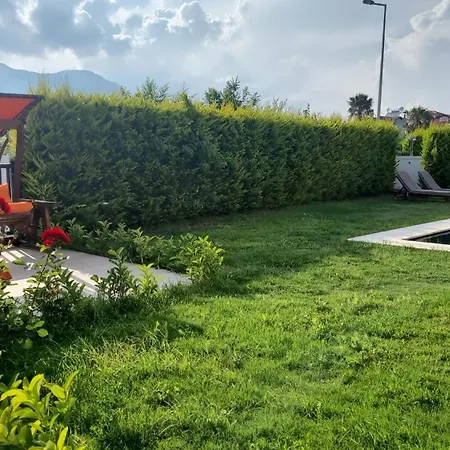 فيلة Carmen-2 داليان